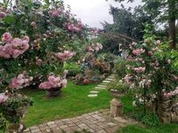 Découverte d'un jardin à l'ambiance bucolique et tout en couleurs à Mazerolles