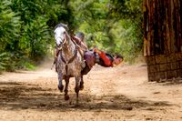 Parc Durandal à Rocamadour