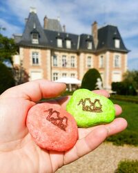 Chasse aux galets à Sampigny