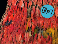 Conte musical | Bistanclac à Nantes