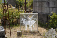 Cimetière Miséricorde - Visite guidée à Nantes