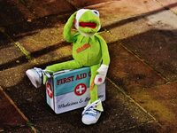 Mercredis nature : SOS animal sauvage en Détresse ! à Saint-Martin-de-Seignanx