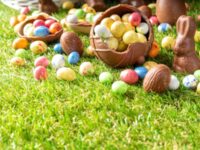 Chasse aux oeufs à Seignosse