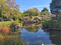 Rendez-vous aux jardins à Villeneuve-en-Retz