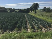 Concours photo amateurs : La vie à Tourneville-sur-mer, ses habitats, ses habita à Tourneville-sur-Mer