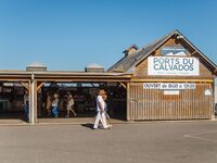 Marché aux poissons à Dives-sur-Mer