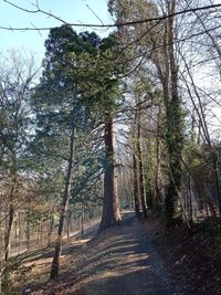 Parc de la Gloriette à Chaumont