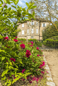 Visite libre du parc et des jardins du château de Figon à Raucoules
