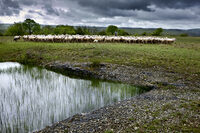 Exposition ParcourS, un regard sur le paysage à Cahors
