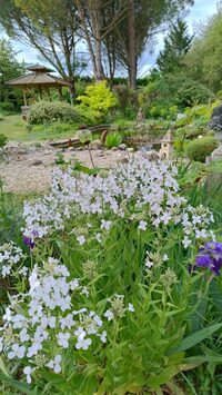 Visite guidée de la Palette des Couleurs à Chabeuil
