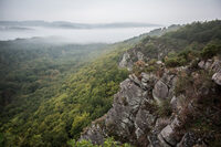 Balade nature en famille à Athis-de-l'Orne