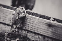 Que de vie dans l'eau ! à Athis-Val-de-Rouvre