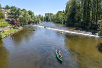 Nature et Histoire à Saint-Rémy