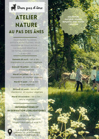 Atelier Nature au pas des ânes : impression et couleur végétale à Dun-sur-Auron
