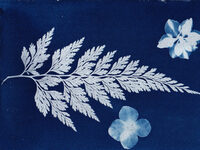 Visite atelier : Révèle la nature ! à Nohant-Vic