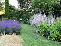 Visite guidée du Jardin " Le Mas du Pré" à Verrières