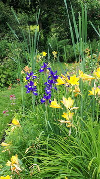Visite commentée du Jardin de L'Eau Vive à Orbais-l'Abbaye