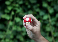 Ludoswitch :  jeux de société et jeux vidéo à Toulouse