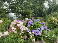 Le Jardin sur la Moraine                           visites  au profit de l’assoc à Saint-Baldoph