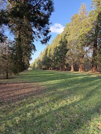 Rando douce à Servon