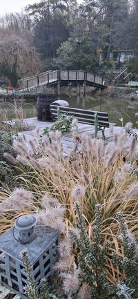 Découverte du Jardin des Grimpantes à Burey-en-Vaux