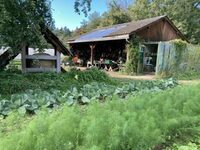 Visite d'un potager associatif collectif à Tassin-la-Demi-Lune
