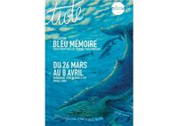 Bleu mémoire - Exposition de Tiote à Nantes