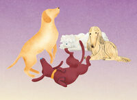 Visite de l'exposition 4 pattes à Toulouse