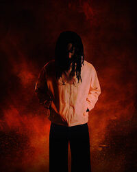 Jeune Lion à Bordeaux