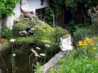 Visite du jardin de Jacques à Saint-Jouvent