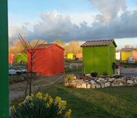 Découverte des jardins potagers familiaux à Saujon