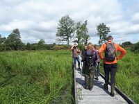 La boucle du marais à Briouze