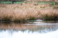 Jeu de piste autour de l'étang à Briouze