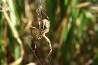 Même pas peur ! à Briouze