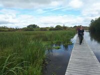 A vos bottes, prêts, marais ! à Briouze