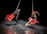 Les Jokers - groupe de création Lido à Toulouse