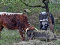 Les fêtes pascales à Ungersheim