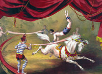 Vacances : vive le cirque ! à Toulouse