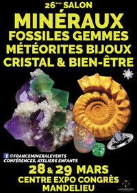 26ᵉ Salon des Minéraux de Mandelieu à Mandelieu-la-Napoule