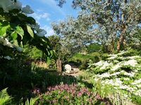 Visites commentées des Jardins de La Rejonière à Ternand