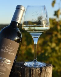 Zoom sur AOC Palette - Cuvée Quintessence  au Château Henri Bonnaud à Le Tholonet