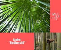 Atelier biodiversité à Générargues