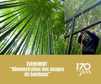 Démonstration des usages du bambous à Générargues