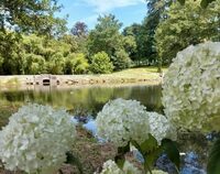 Visite libre du parc classé de Cazeneuve à Préchac