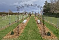 La dézerte et son évolution à Chevigny-en-Valière