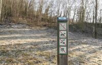 Un voyage dans le temps en pleine nature : l'histoire de la Réserve de Bois-en-V à Charleville-Mézières