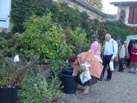 Distribution gratuite de graines et de boutures à Portets