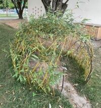 Installations végétales - Land Art à Pau