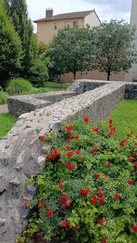 Visite guidée - Le jardin du musée à Grenoble