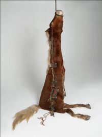 Gloria Friedmann - Splendeurs et extinction de la nature à Metz